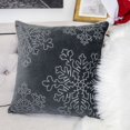 thumbnail image 2 of Frosty Gray Graphic Polyester 20 in. x 20 in. Throw Pillow, 2 of 3