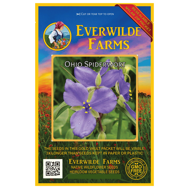 Everwilde Farms 300 Ohio Spiderwort Native Wildflower Seeds Gold