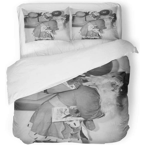 RYLABLUE 3 Piece Bedding Set Vintage The Spirit of Christmas Retro Holiday Photography Box Twin Size Duvet Cover with 2 Pillowcase for Home Bedding Room Decoration