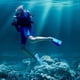 thumbnail image 2 of Aletas de natación, aletas de snorkel de hoja corta para entrenamiento y buceo, 2 of 7