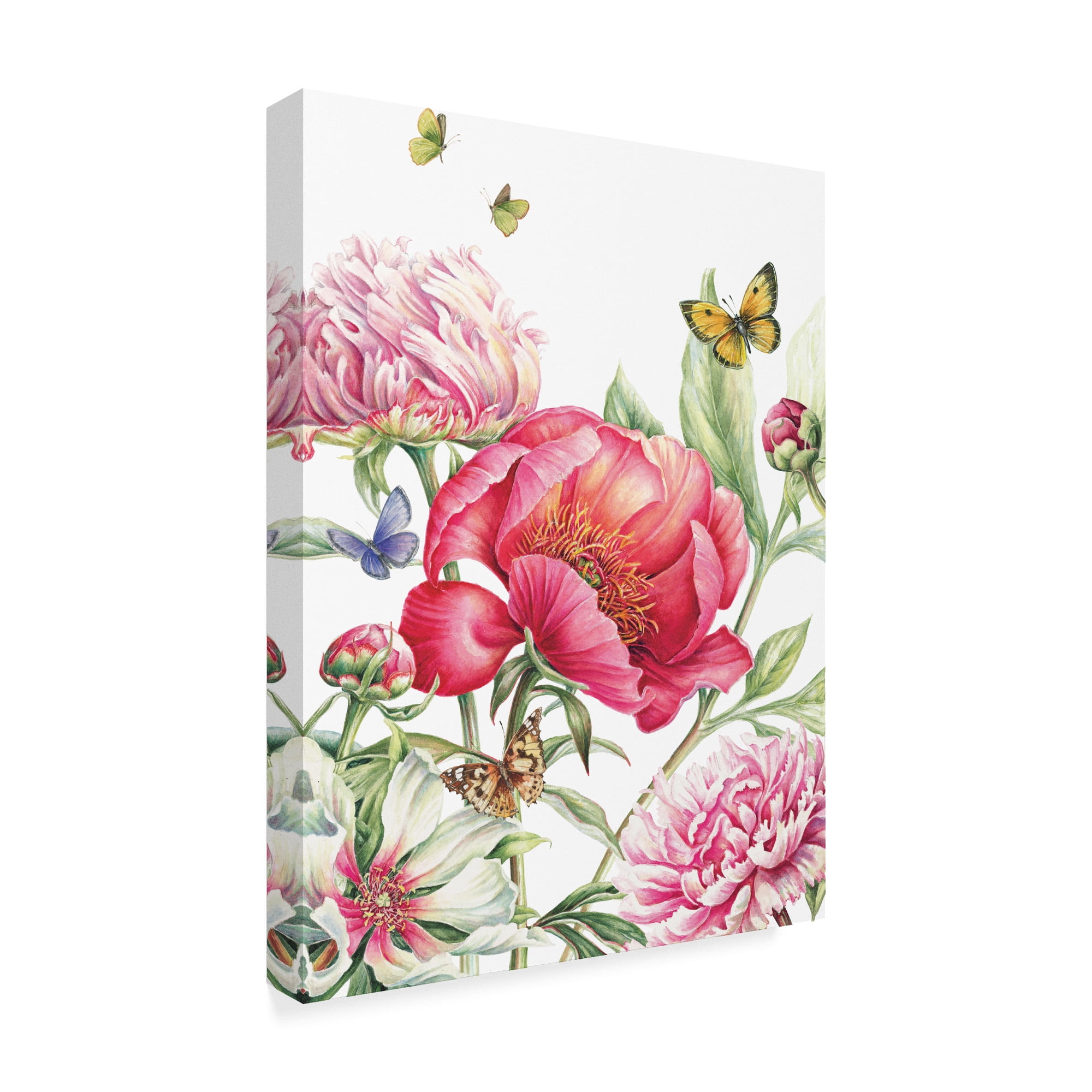Trademark Fine Art 'Paeonia' Canvas Art by Janneke Brinkman-Salentijn