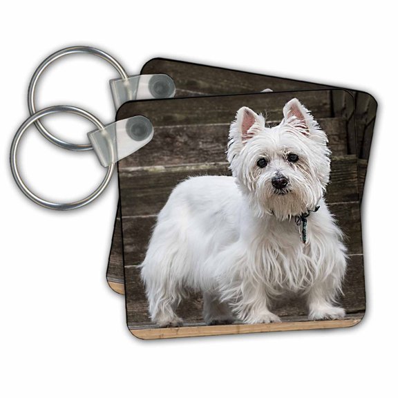 3dRose, Westie, set of 2 Key Chains