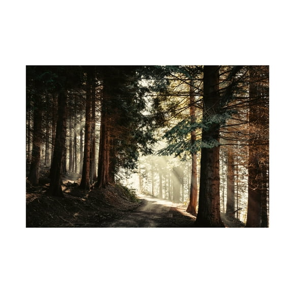 Canvas Wall Art - Dirk Wüstenhagen 'Light Magic' Wall Art for Living Room, Bedroom, or Office Décor by Trademark Fine Art - 19 x 12 Inches