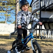 Royalbaby Freestyle 16 Bicycle for Boys and Girls Ages 6-8 Years, Blue