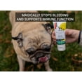 thumbnail image 7 of Gou Gou Pets Holistic Natural Derived First Aid Ointment for Dogs, Cats, and Horses for Many Types of Wounds: Minor Wounds, Open Wounds, Bite Wounds, Puncture Wounds and More - Made in USA - 1 oz, 7 of 7