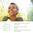 thumbnail image 4 of Irwin Naturals Bloat-Away - Water Balance Support - Replenish Electrolytes & Essential Minerals - 60 Liquid Soft-Gels, 4 of 9