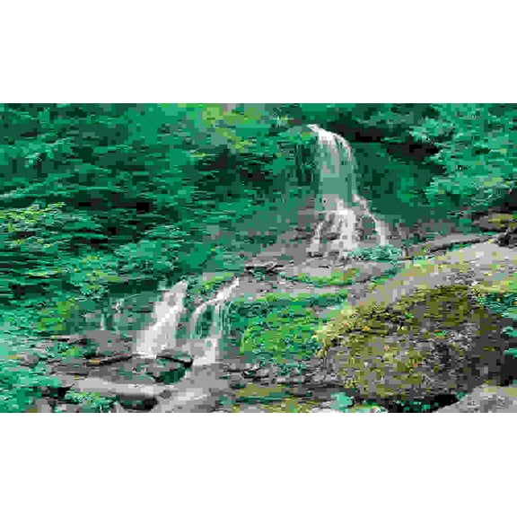 Biggies 100" Waterfall Photograph Window Well Scenes