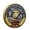 0, variant on Win s Way 2026 USA 250th Semiquincentennial Patriotic Ornament, 1776-2026 Independence Anniversary Historical Keepsake, Gold Metal Exquisite Engraved Desktop Display Decor for Collectors,Enthusiasts