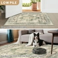 thumbnail image 5 of 5'x7' Traditional Area Rugs for Living Room, Non-Slip Indoor Thin Carpet for Bedroom, Foldable Persian Medallion Rugs,Green, 5 of 5
