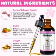 Oimmal Collagen Drops for Cats - 2 fl oz | Salmon Flavor - Support for Cats Joints, Skin, Digestive & Immune System, Liquid Collagen Supplement for Cat