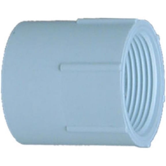 30307 0.75 in. Slip x Thread Female Adapter, White - Pack Of 10