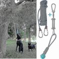 thumbnail image 1 of Dog Spring Pole Toys Set Outdoor Hanging Exercise Cotton Rope Dog Teething Toy, 1 of 1