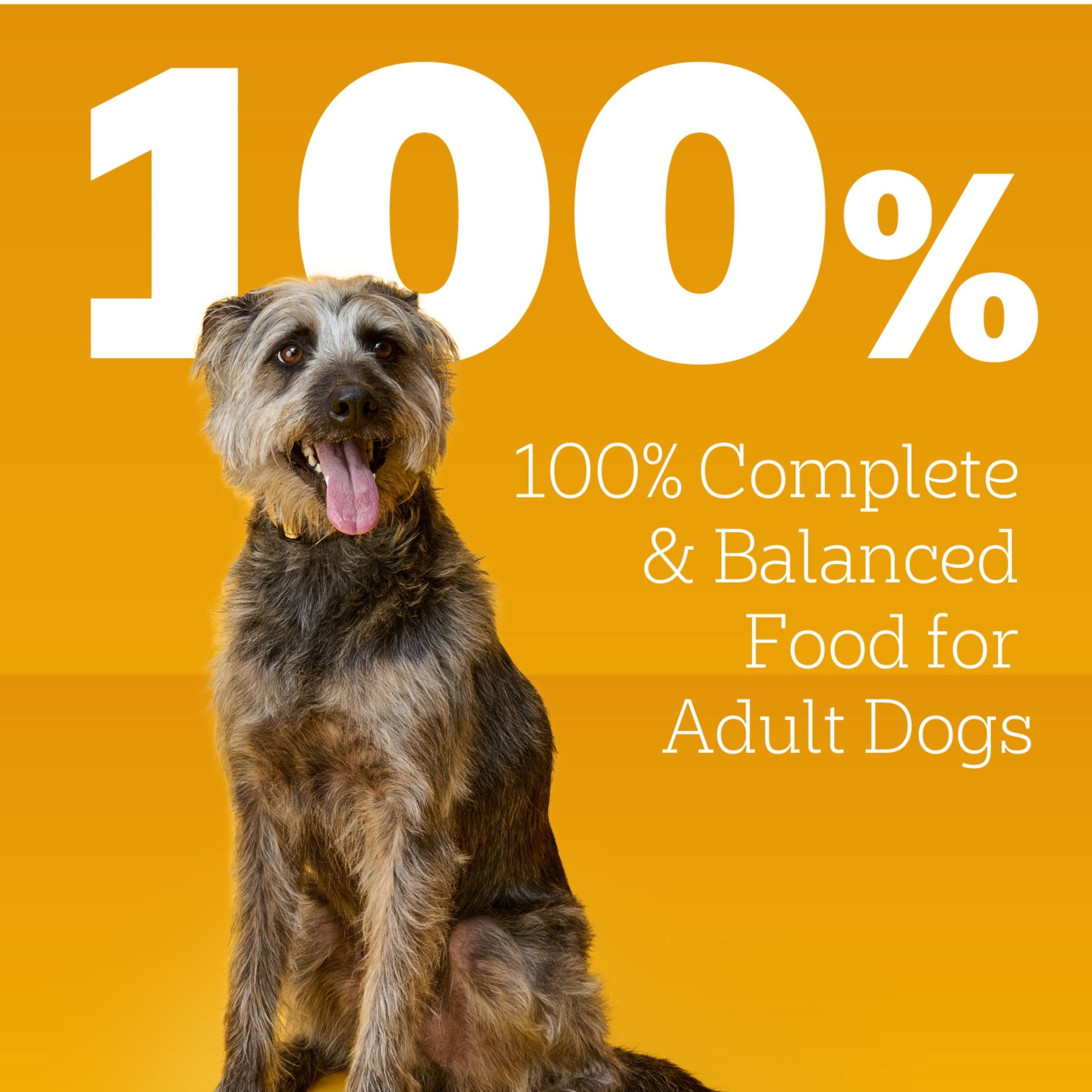 Pedigree Choice Cuts In Gravy Adult Wet Dog Food Steak & Vegetable Flavor, 13.2 Oz Cans 12 Pack