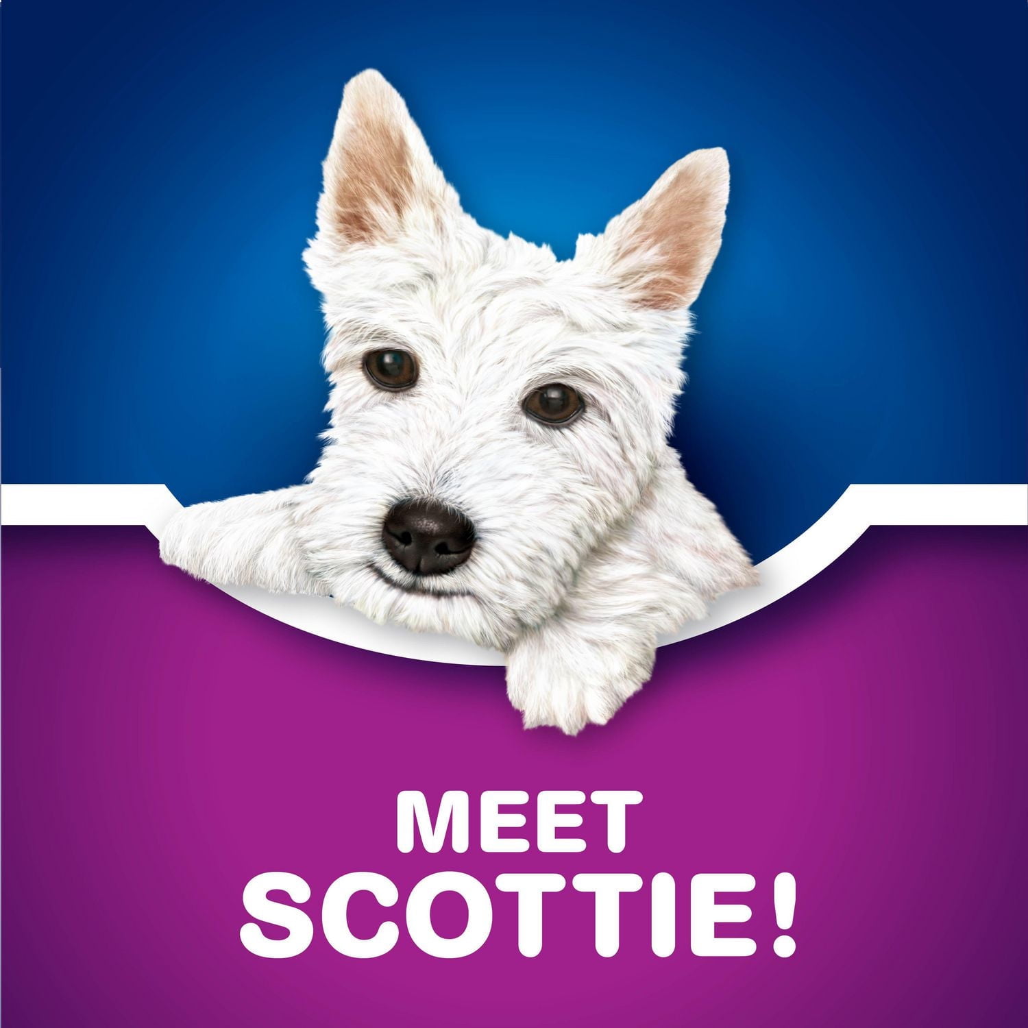 Papiers-mouchoirs Scotties Supreme à 3 épaisseurs, hypoallergéniques et approuvés par les dermatologues, 9 boîtes, 88 papiers-mouchoirs par boîte