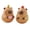Combination, variant on Capybara Desk Display Figurine Features Cartoon Designing Funny Statue