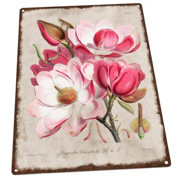 Vintage Flower Encyclopedia, Magnolia 9"x12" Metal Sign, Wall Decor for Porch, Patio, or Deck