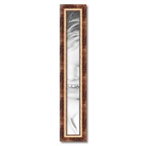 ArtToFrames 4x35" Other Picture Frame, Multi Wood Poster Frame, with Regular Acrylic and 2 (FBPL-4941)