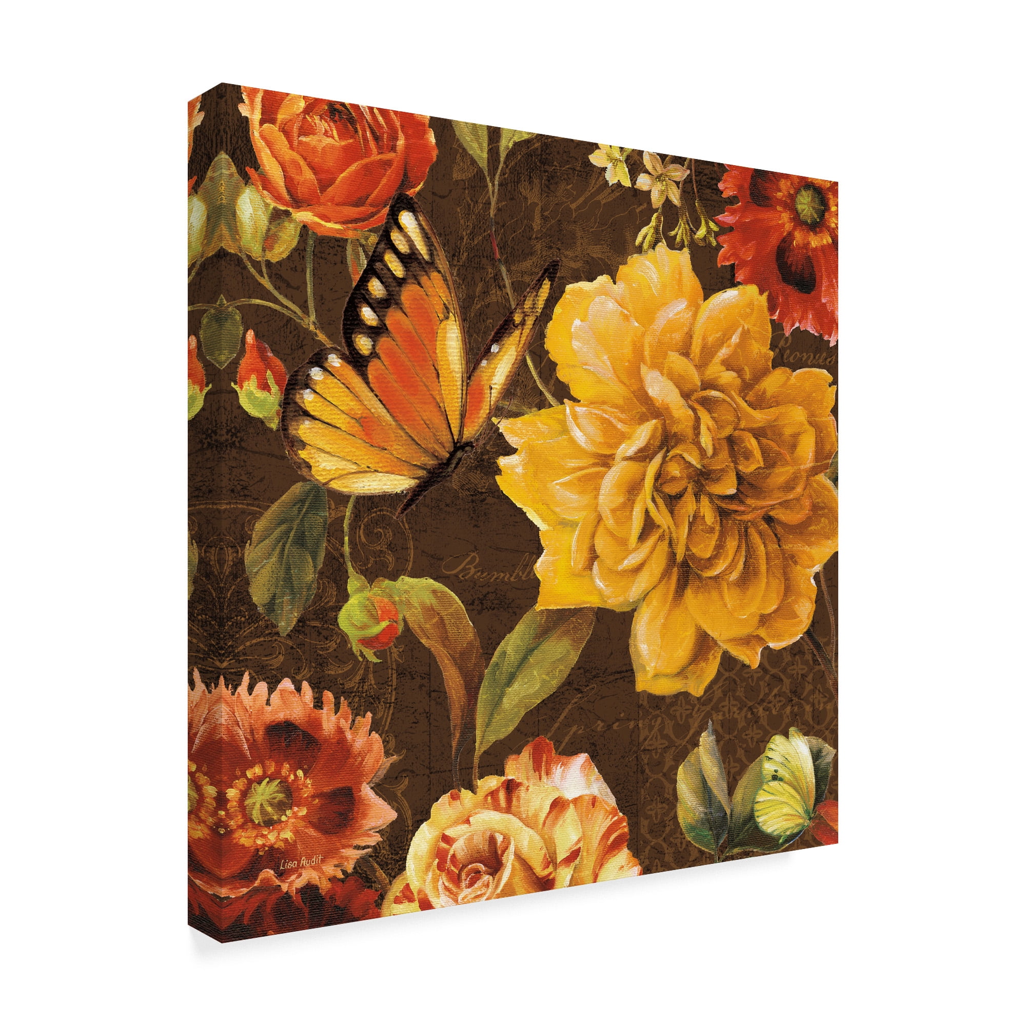 Trademark Fine Art 'Rainbow Garden II Chocolate' Canvas Art by Lisa Audit