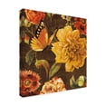 thumbnail image 2 of Trademark Fine Art 'Rainbow Garden II Chocolate' Canvas Art by Lisa Audit, 2 of 3