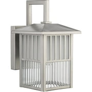 RADIANCE Goods Transitional 1 Light Painted Nickel Outdoor Wall Sconce 11" Height