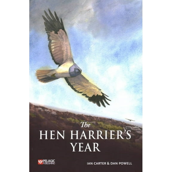 The Hen Harrier's Year (Paperback)