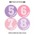 thumbnail image 2 of Monthly Baby Stickers by Months In Motion | 12 Month Milestone Sticker for Newborn Babies (Style 820), 2 of 4