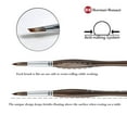 thumbnail image 3 of Borciani e Bonazzi Unico Synthetic Mongoose Artist Paint Brush - Series 802 Filbert - Size #18 - Watercolors, Oil & Acrylic Paint - Handcrafted in Italy, Anti-Roll Design, Ergonomic Medium Handle, 3 of 7