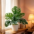 thumbnail image 4 of Monstera Deliciosa Artificial de Bonsái para Interiores con Ramas Ajustables, Follaje Verde Realista para Decoración de Hogar y Oficina, 45 cm, 4 of 6
