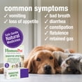 thumbnail image 3 of HomeoPet DIGESTIVE UPSETS Digestive Health Support Drops for Pets, 15 mL, 3 of 7