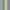 Bright Blue, Green, Purple & Gray, variant on WeeSprout Divided Bamboo Plates for Kids, Made with Food Grade Natural Bamboo, Set of 4