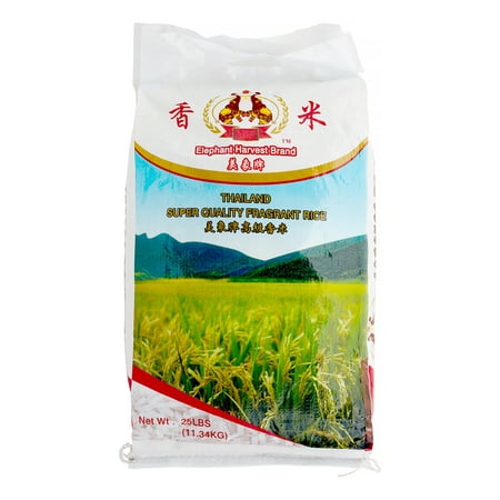 Elephant Thai Jasmine Rice, Fragrant, 400.0 Oz (Best Thai Jasmine Rice)