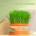 thumbnail image 3 of 2 Packs Pet Cat Sprout Dish Growing Pot Hydroponic Plant Cat Grass Germination Starter Dish Greenhouse Grow Box, 3 of 7