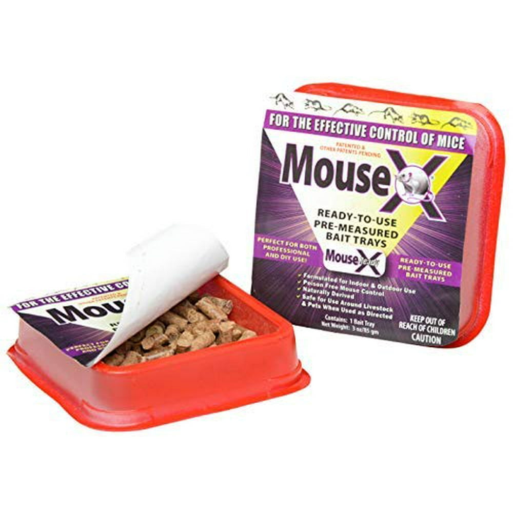RatX 100534057 MouseX Ready To Use Bait Tray, Single Pack