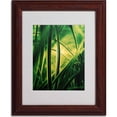 thumbnail image 2 of Trademark Fine Art "Miniature" Canvas Art by Philippe Sainte-Laudy, Wood Frame, 2 of 3