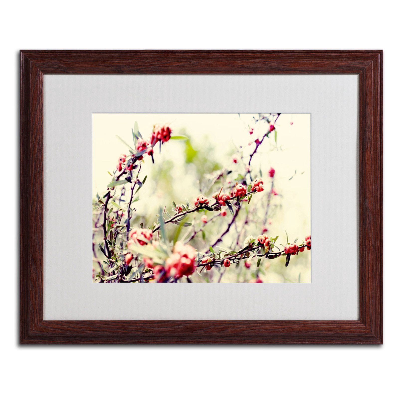 Trademark Fine Art "Summer Melody" Framed Canvas Art by Beata Czyzowska Young