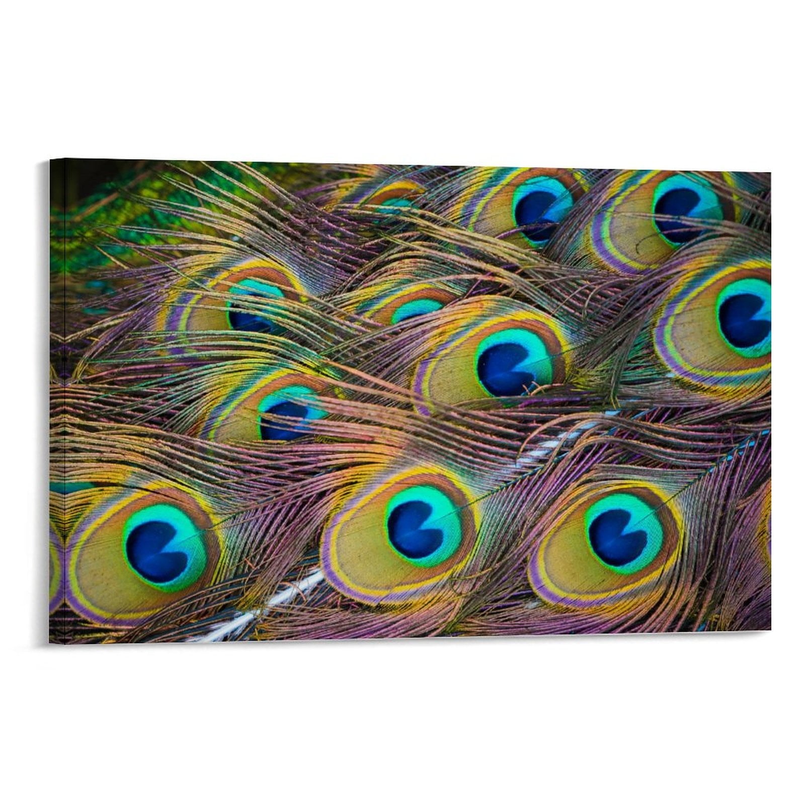 Picture of Peacock Feathers Framed Canvas Wall Art, Horizontal ...