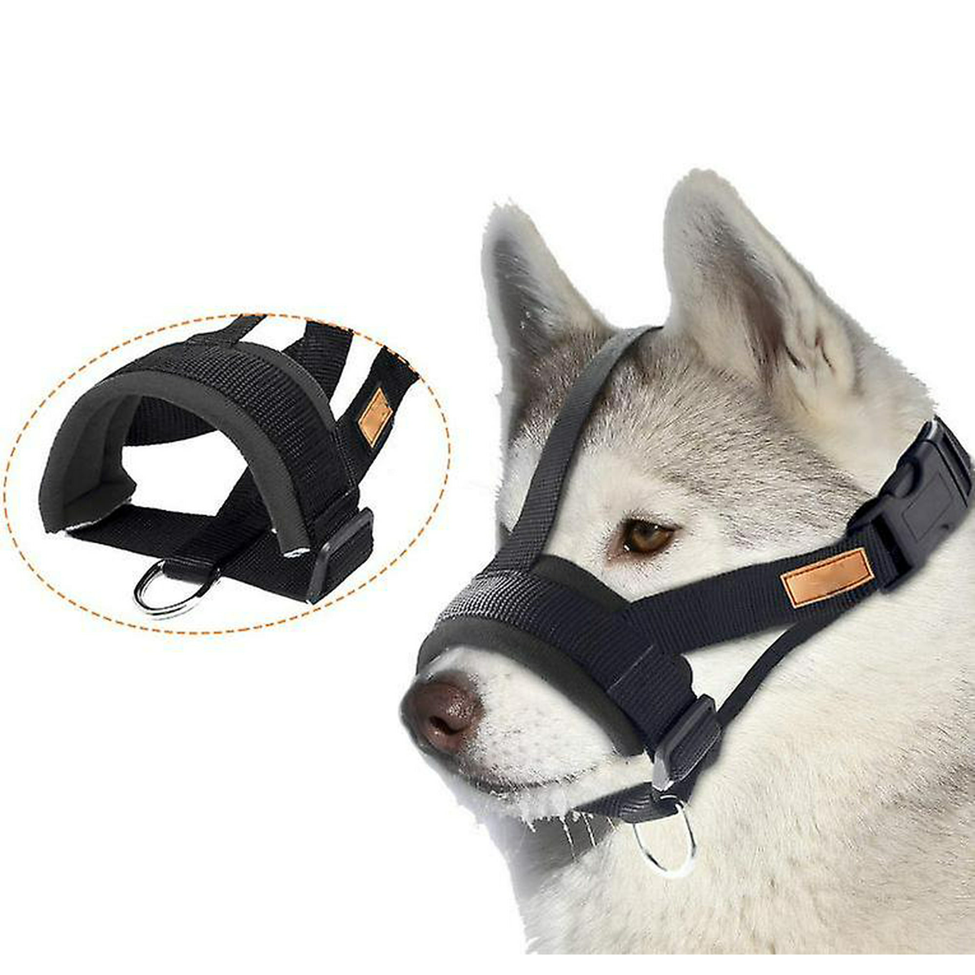 how long can a muzzle stay on a dog