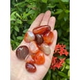 thumbnail image 2 of Carnelian Tumbled Stones, 0.75"-1.25" Tumbled Carnelian, 2 of 3