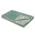 thumbnail image 6 of FurHaven Pet Products Waterproof Velvet Throw Blanket - Celadon Green, Medium, 6 of 12
