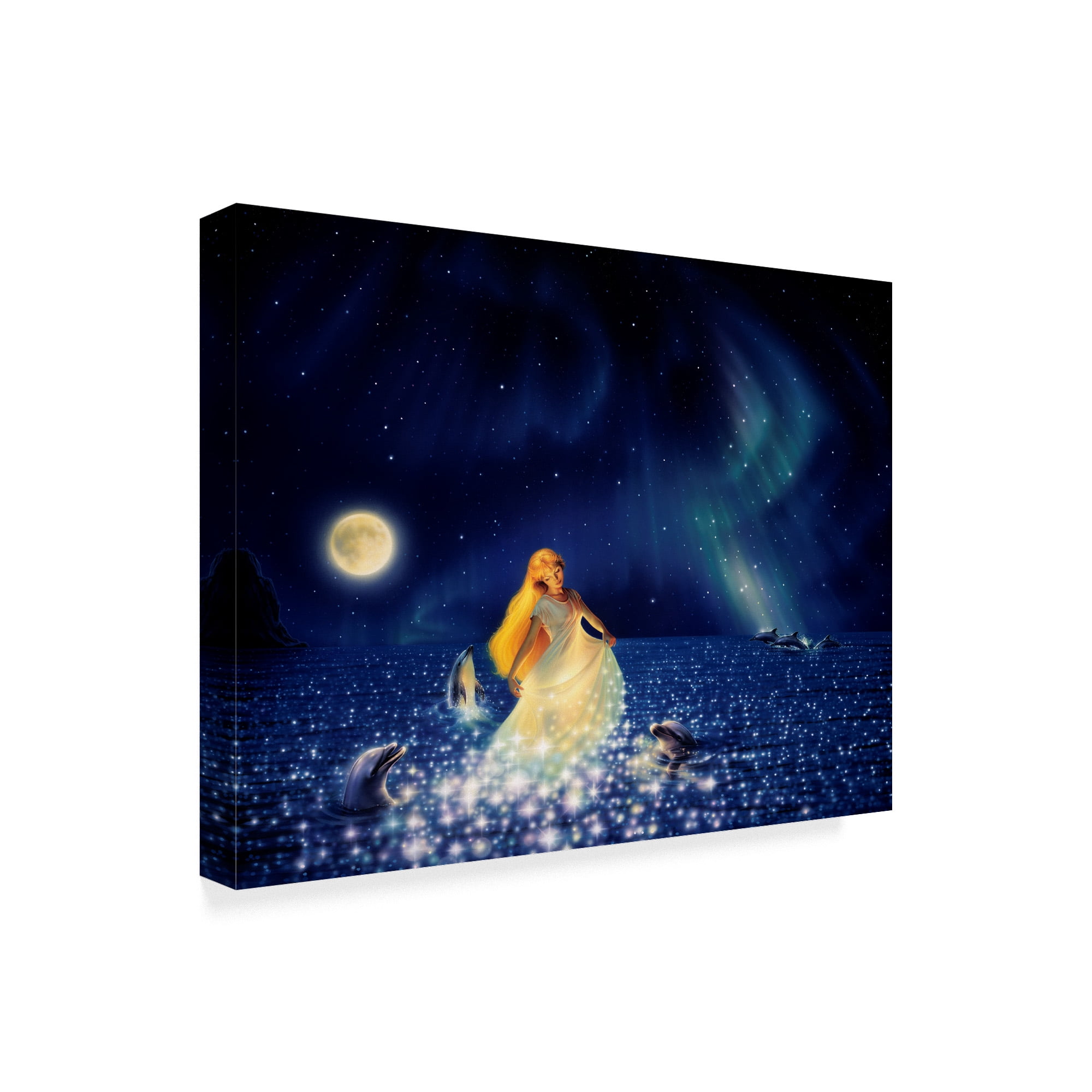 Trademark Fine Art 'Sea Of Stars' Canvas Art by Kirk Reinert