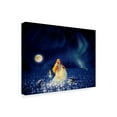 thumbnail image 2 of Trademark Fine Art 'Sea Of Stars' Canvas Art by Kirk Reinert, 2 of 3