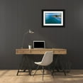 thumbnail image 3 of Wall, David 24x17 Black Ornate Wood Framed with Double Matting Museum Art Print Titled - Mapoutahi-Historic Maori Pa Site-Goat Island-Purakanui Bay-north of Dunedin, 3 of 4