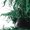 Green, variant on Cmunyle Fashion Winter Women Boots Round Toe Knee High Lace Up Snow Boots With Buckle Detailing Hairy Faux Fur Mid Tube Flat Heel Size 6 Us Foot Length 9.25 Inches Pu Synthetic Leather Mat
