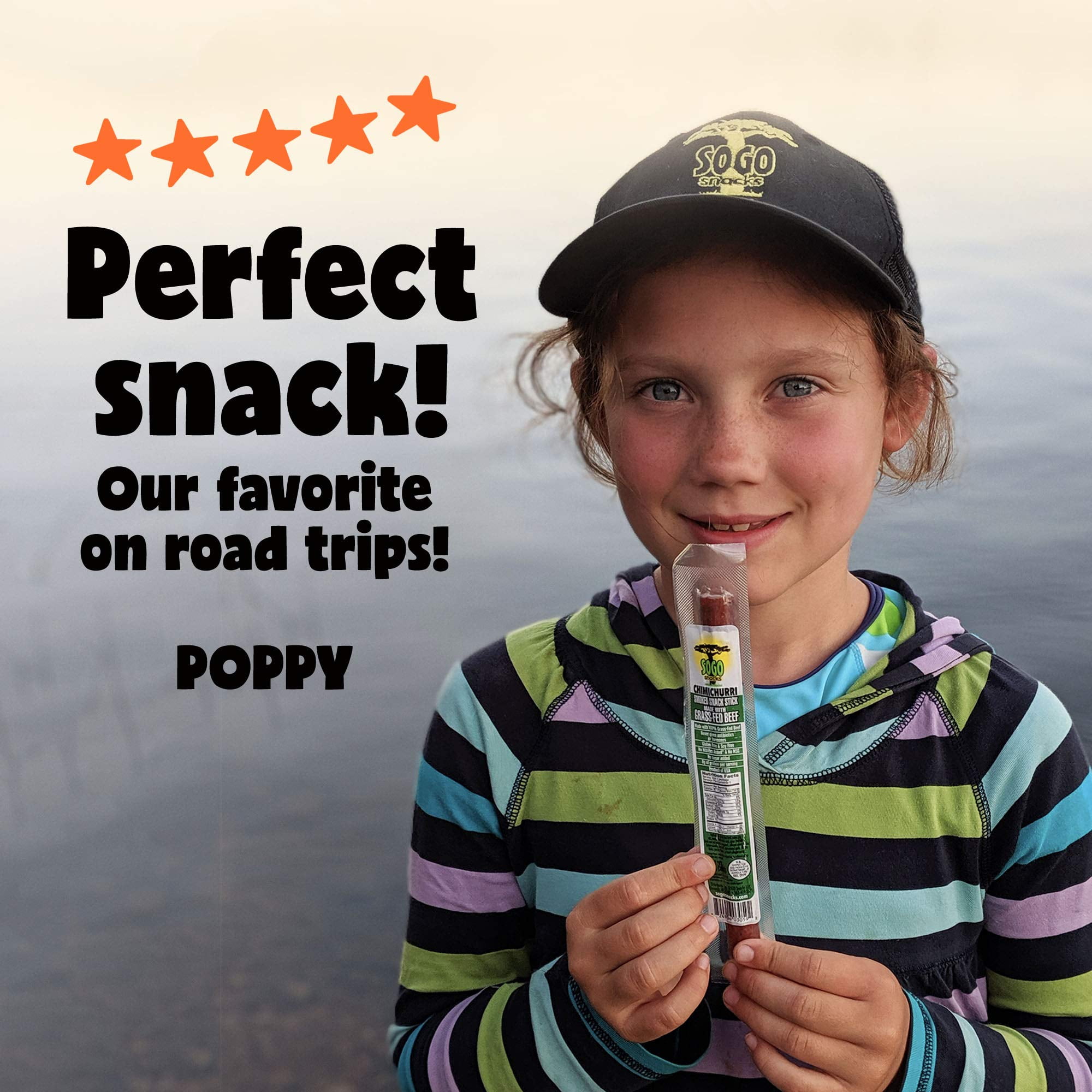 Garlic, Sogo Snacks Iowa Smoked, No Sugar, 100% Grass-fed/finished, Non-GMO Beef Sticks. No Added Nitrates, Gluten, Soy, MSG, Dairy, or Nuts. Keto, Paleo Friendly (Garlic-ISR, 1-oz, 48 Cnt)