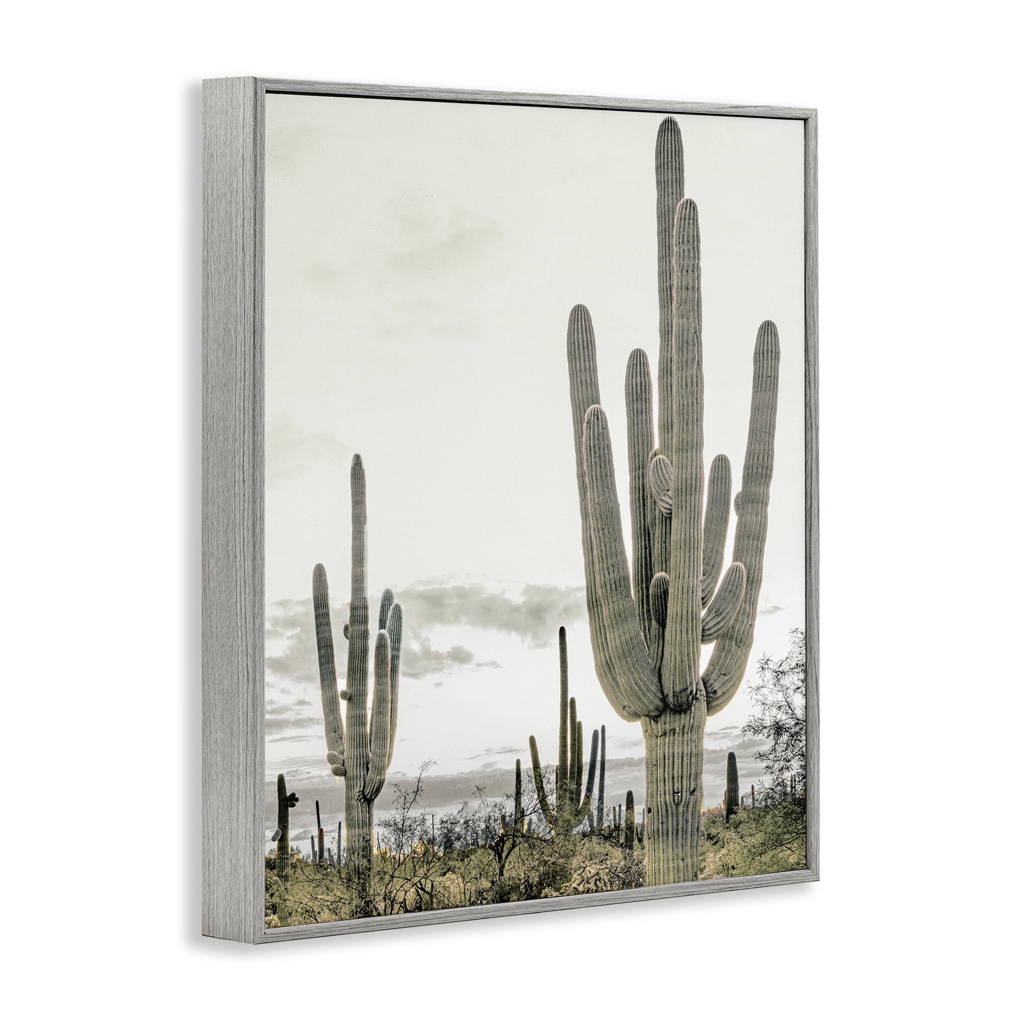 Stupell Industries Subdued Desert Cacti Gray Framed Giclee Art, design by Kim Allen