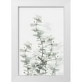 thumbnail image 1 of Artographie Studio 23x32 White Modern Wood Framed Museum Art Print Titled - Eucalyptus Creative 15, 1 of 4
