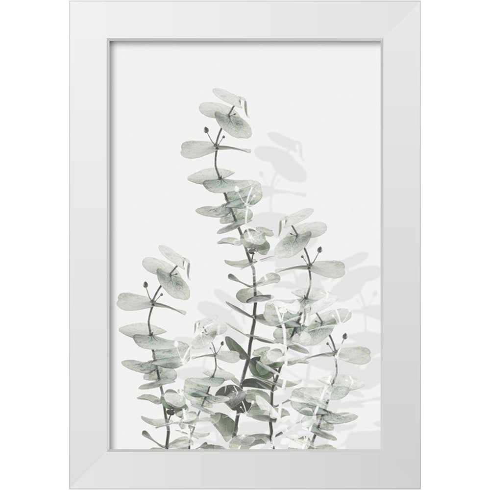 Artographie Studio 11x14 White Modern Wood Framed Museum Art Print Titled - Eucalyptus Creative 15