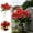 D, variant on ZZHZGZ Canada Sale Floral Arrangement Realistic Silk for Memorial Home Wedding Party Indoor Outdoor