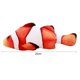 thumbnail image 4 of Mascota gato peluche pez hierba gatera simulación pez gatito masticar juguete 20cm (pez payaso) Ndcxsfigh Para estrenar, 4 of 6