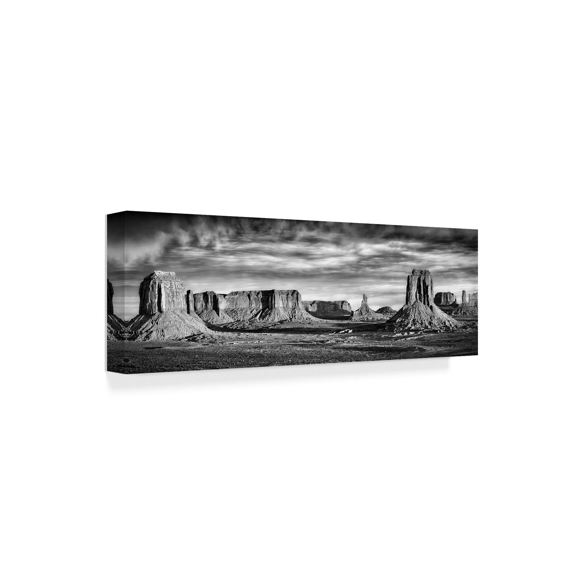 Trademark Fine Art 'Black And White Desert View VII' Canvas Art by David Drost